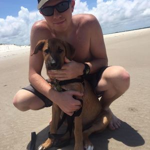 Meet your Posher, Joey